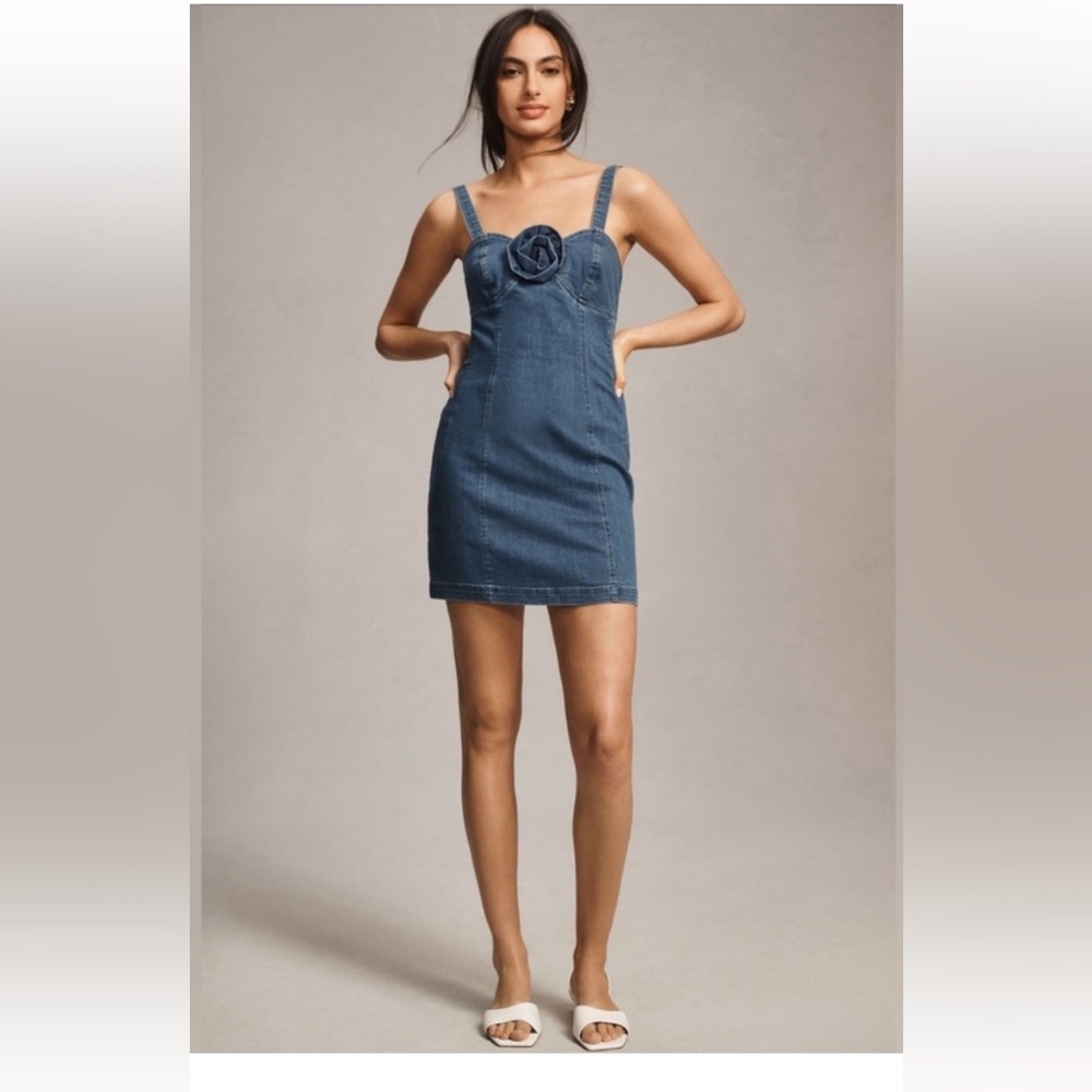 NWT Anthropologie size L Rosette denim mini dress